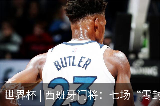 世界杯 | 西班牙门将：七场“零封” 功不在我