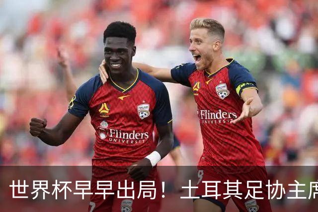 世界杯早早出局！土耳其足协主席：所有国脚们仍将获赠海景别墅