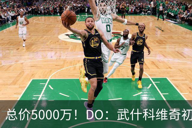 总价5000万！DO：武什科维奇初始转会费4600万镑，热刺有二转分成
