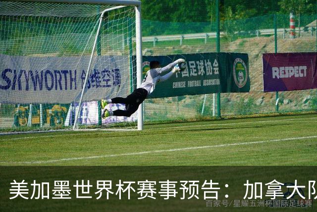 美加墨世界杯赛事预告：加拿大队、美国队将亮相