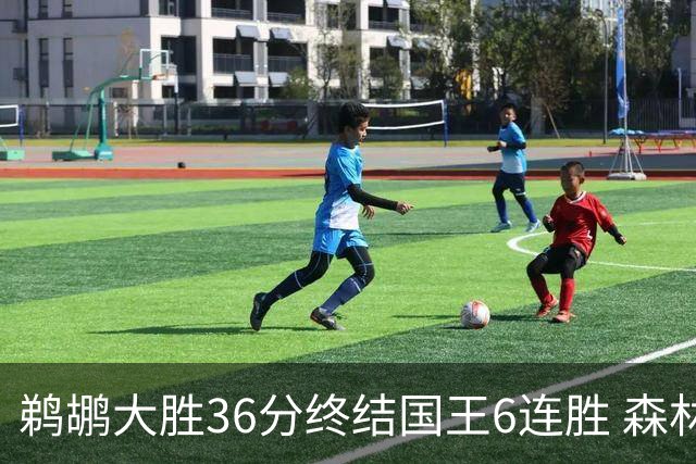 鹈鹕大胜36分终结国王6连胜 森林狼大胜尼克斯